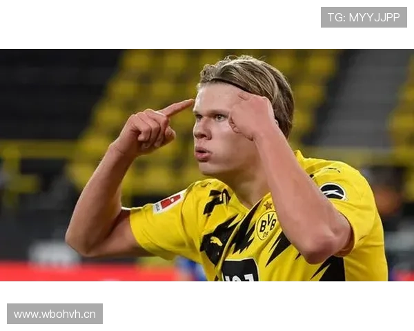 佩莱格里诺梦想国脚哈兰德典型9号